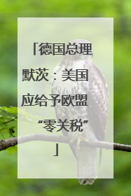 德国总理默茨：美国应给予欧盟“零关税”