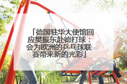 德国驻华大使馆回应樊振东赴德打球：会为欧洲的乒乓球联赛带来新的光彩