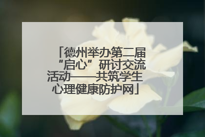 德州举办第二届“启心”研讨交流活动——共筑学生心理健康防护网