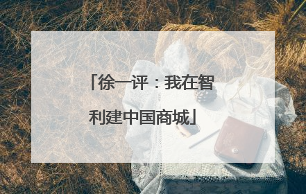 徐一评：我在智利建中国商城