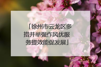 徐州市云龙区多措并举强作风优服务提效能促发展