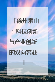 徐州泉山：科技创新与产业创新的双向奔赴