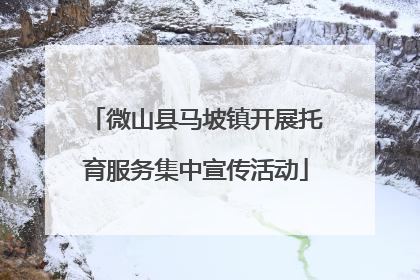 微山县马坡镇开展托育服务集中宣传活动