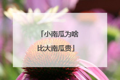 小南瓜为啥比大南瓜贵