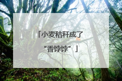 小麦秸秆成了“香饽饽”