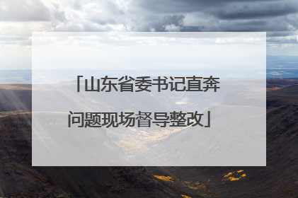 山东省委书记直奔问题现场督导整改