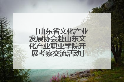 山东省文化产业发展协会赴山东文化产业职业学院开展考察交流活动