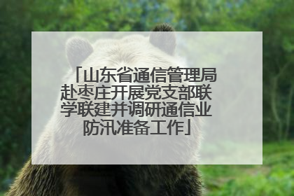 山东省通信管理局赴枣庄开展党支部联学联建并调研通信业防汛准备工作