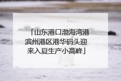 山东港口渤海湾港滨州港区港华码头迎来入夏生产小高峰