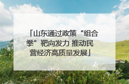 山东通过政策“组合拳”靶向发力 推动民营经济高质量发展