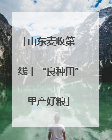 山东麦收第一线丨“良种田”里产好粮