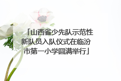 山西省少先队示范性新队员入队仪式在临汾市第一小学圆满举行