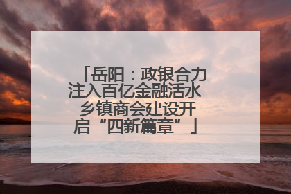 岳阳：政银合力注入百亿金融活水 乡镇商会建设开启“四新篇章”