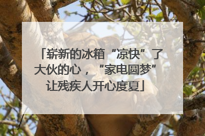 崭新的冰箱“凉快”了大伙的心，“家电圆梦”让残疾人开心度夏