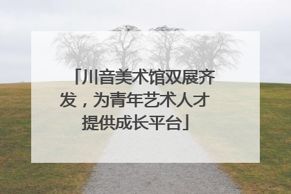 川音美术馆双展齐发，为青年艺术人才提供成长平台