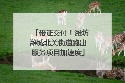 带证交付！潍坊潍城北关街道跑出服务项目加速度