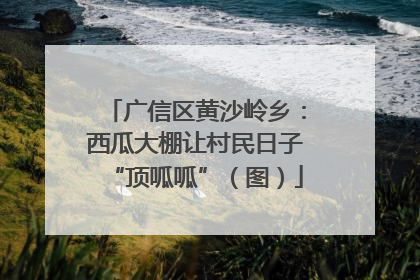 广信区黄沙岭乡：西瓜大棚让村民日子“顶呱呱”（图）