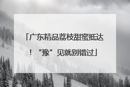 广东精品荔枝甜蜜抵达！“豫”见就别错过