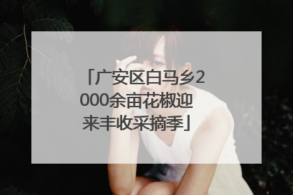广安区白马乡2000余亩花椒迎来丰收采摘季