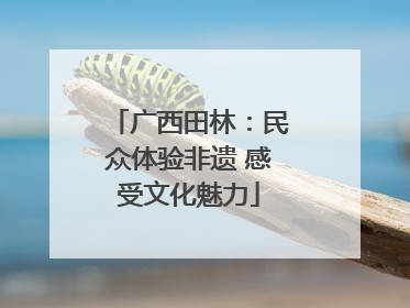 广西田林：民众体验非遗 感受文化魅力