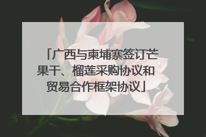 广西与柬埔寨签订芒果干、榴莲采购协议和贸易合作框架协议