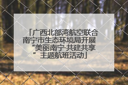 广西北部湾航空联合南宁市生态环境局开展“美丽南宁·共建共享”主题航班活动