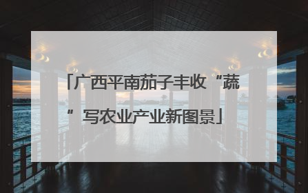 广西平南茄子丰收“蔬”写农业产业新图景