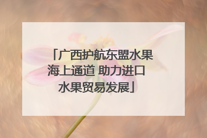 广西护航东盟水果海上通道 助力进口水果贸易发展