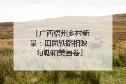 广西梧州乡村新景：田园铁路相映 勾勒和美画卷