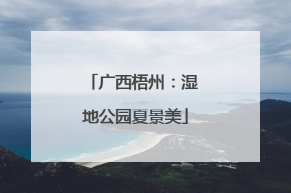 广西梧州：湿地公园夏景美