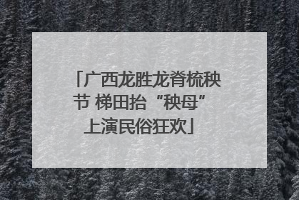 广西龙胜龙脊梳秧节 梯田抬“秧母”上演民俗狂欢