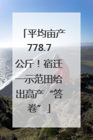 平均亩产778.7公斤！宿迁一示范田给出高产“答卷”