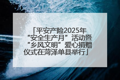 平安产险2025年“安全生产月”活动暨“乡风文明”爱心捐赠仪式在菏泽单县举行