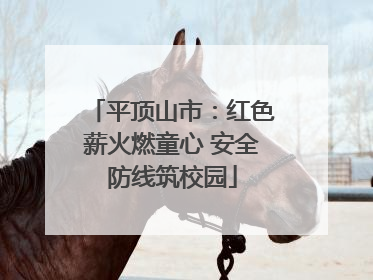 平顶山市：红色薪火燃童心 安全防线筑校园