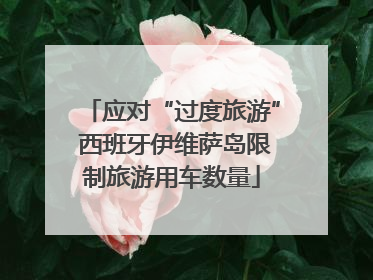 应对“过度旅游” 西班牙伊维萨岛限制旅游用车数量