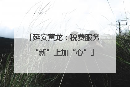 延安黄龙：税费服务“新”上加“心”