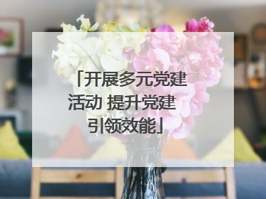 开展多元党建活动 提升党建 引领效能