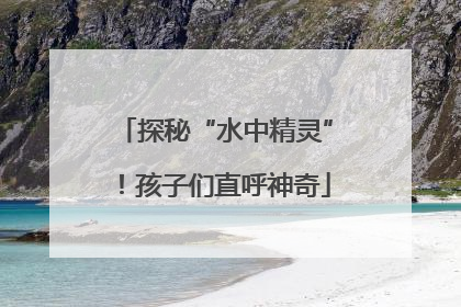 探秘“水中精灵”！孩子们直呼神奇