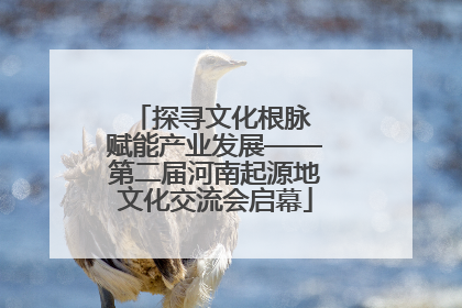 探寻文化根脉 赋能产业发展——第二届河南起源地文化交流会启幕
