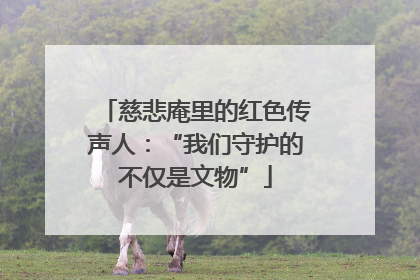 慈悲庵里的红色传声人：“我们守护的不仅是文物”