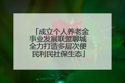成立个人养老金事业发展联盟聊城全力打造多层次便民利民社保生态