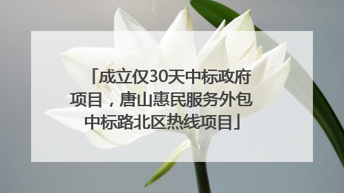 成立仅30天中标政府项目，唐山惠民服务外包中标路北区热线项目