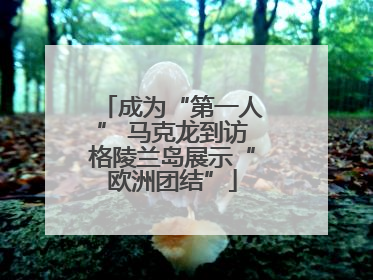 成为“第一人” 马克龙到访格陵兰岛展示“欧洲团结”