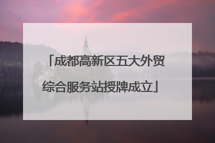 成都高新区五大外贸综合服务站授牌成立