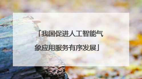 我国促进人工智能气象应用服务有序发展