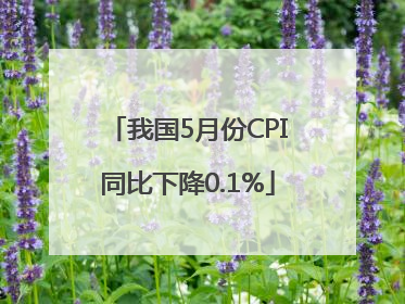 我国5月份CPI同比下降0.1%