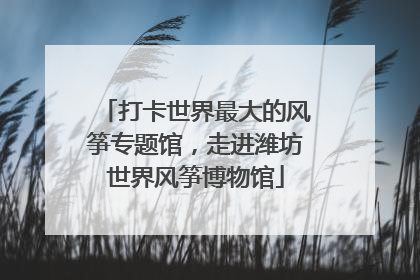 打卡世界最大的风筝专题馆，走进潍坊世界风筝博物馆