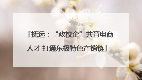 抚远：“政校企”共育电商人才 打通东极特色产销链