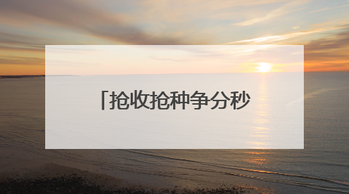 抢收抢种争分秒 禁烧禁抛筑防线——郎中乡干群同心守好 粮袋子