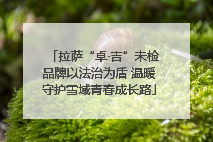 拉萨“卓·吉”未检品牌以法治为盾 温暖守护雪域青春成长路